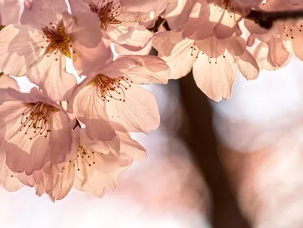 Gentle Bedtime Talk To Connect With Your Heart