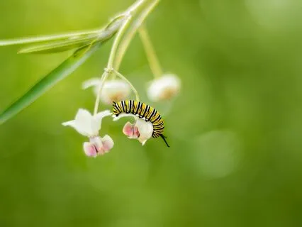 Gentle Bedtime Talk To Cradle Your Nervous System