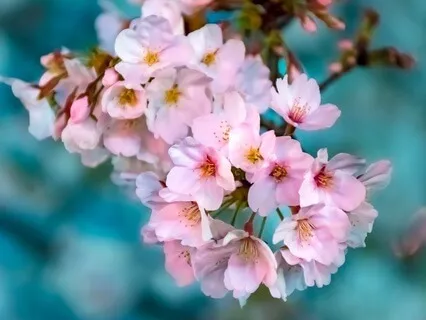 Gentle Bedtime Talk To Discover Your Inner Oasis