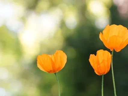 Gentle Bedtime Talk: To Feel Protected