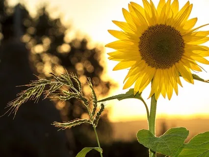 Gentle Bedtime Talk To Feel Safe