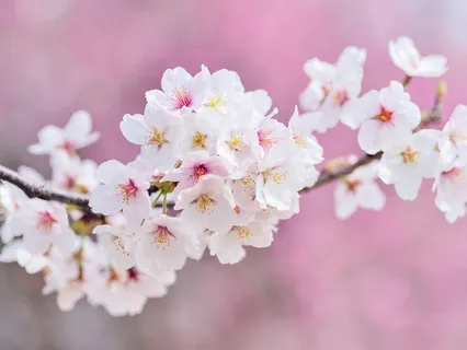 Gentle Bedtime Talk To Make You Feel Appreciated