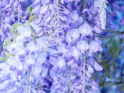 Gentle Bedtime Talk To Make You Feel Important