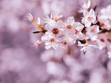 Gentle Bedtime Talk To Nourish The Spirit