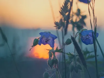Gentle Bedtime Talk To Nourish Your Nervous System
