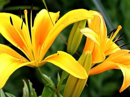 Gentle Bedtime Talk To Prepare Yourself For A Night Of Rest