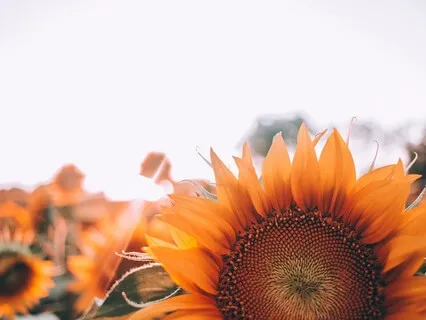 Gentle Bedtime Talk To Release The Burdens Of The Day