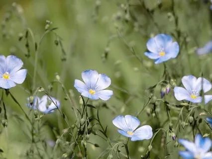 Gentle Bedtime Talk To Soothe Your Heart