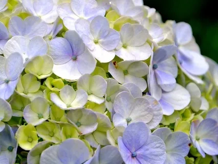 Gentle Bedtime Talk To Surrender Into The Present Moment