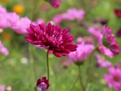 Gentle Bedtime Talk To Travel Within Your Soul