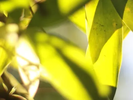 Gentle Bedtime Talk To Unwind The Mind