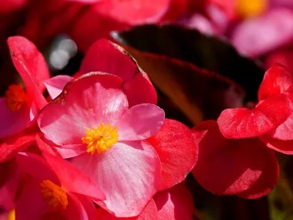 Gentle Bedtime Talk Towards A Deeper Sense Of Self-Love