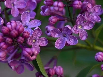 Gentle Bedtime Talk: Trust In The Process