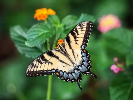 Gentle Bedtime Talk: Tuning Into Inner Guidance