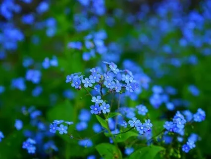 Gentle Bedtime Talk: Uncover The Hidden Oasis Of Tranquility