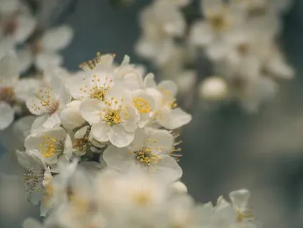 Gentle Bedtime Talk: Unveiling Your Infinite Potential