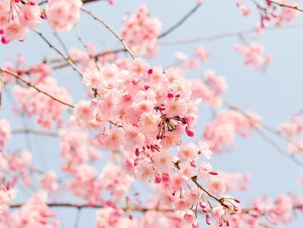 Gentle Bedtime Talk: Unwinding The Mind And Embracing Rest