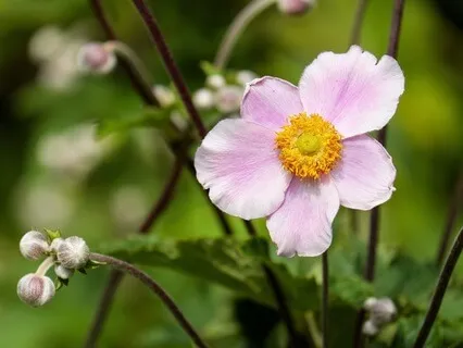 Gentle Bedtime Talk: Voyage To Inner Truth