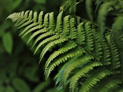 Gentle Bedtime Talk:  Whispers Of Midnight Clarity