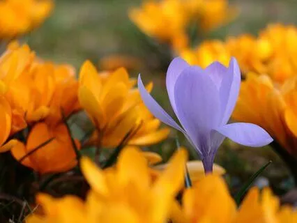 Gentle Bedtime Talk: You Are More Than You Think