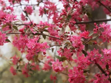 Gentle Bedtime Talk: You Are Not Your Mind