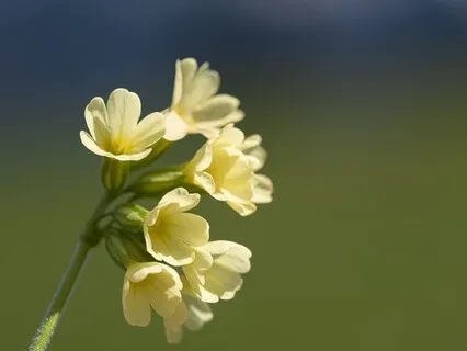 Gentle Bedtime Talks: Embracing Celestial Harmony