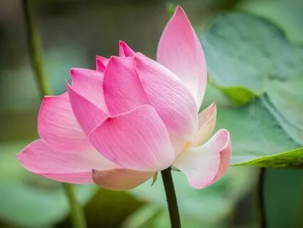 Gentle Bedtime Talks: Letting Worries Drift Away