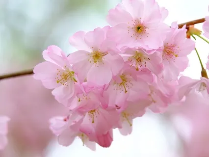 Gentle Bedtime Talk To Nourish The Essence Of Your Being