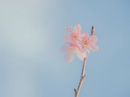 Gentle Bedtime Wispers: Binural Beat, Gentle Piano, Birds