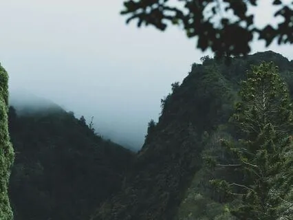 Gentle Body Scan For Relaxation