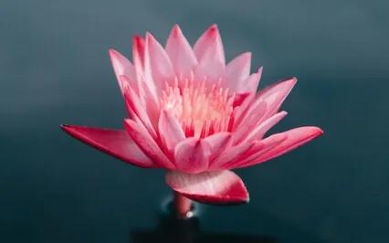 Gentle Body Scan Meditation