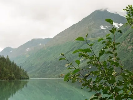 Gentle Body Scan Meditation