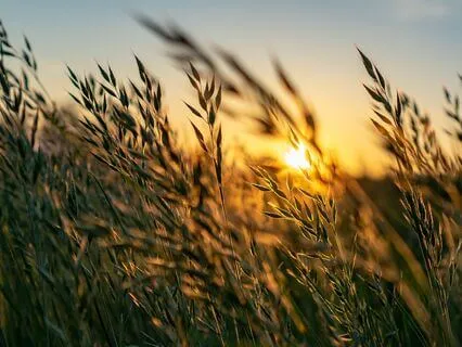 Gentle Body Scan To Give Love To Your Body