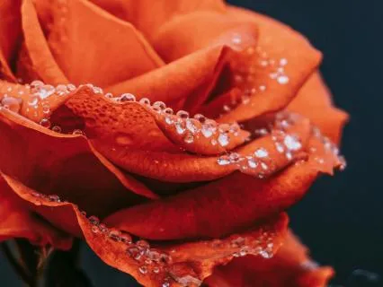 Gentle Body Scan With Music