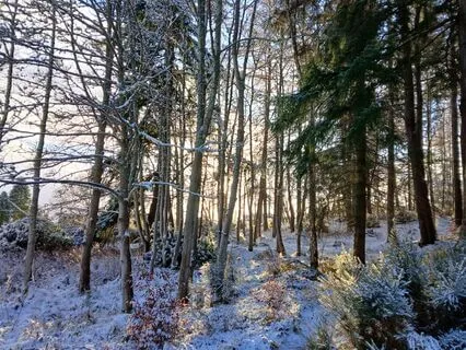 Gentle Breathing And Relaxation (With Music)