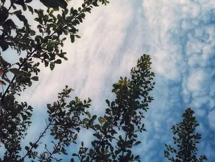 Gentle Breathing Meditation