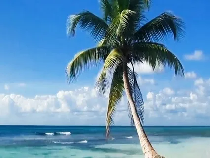 Gentle Breaths Letting Go