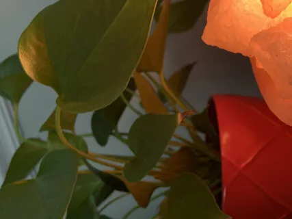 Gentle Breathwork For Anxiety Relief