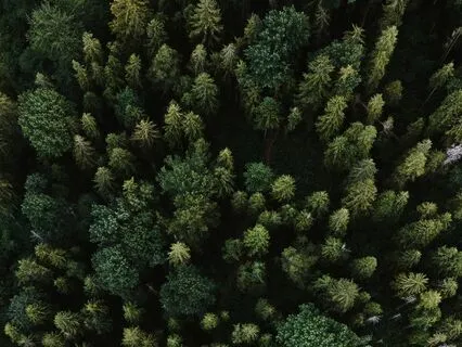 Gentle Breathwork For Calm & Peace