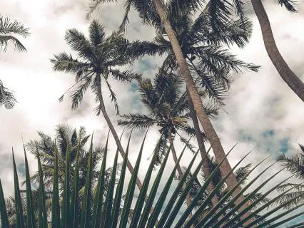 Gentle Breathwork For Nervous System Reset