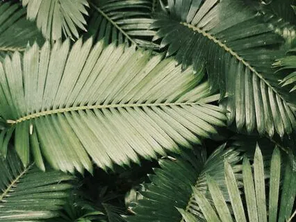 Gentle Breathwork To Regulate The Heart