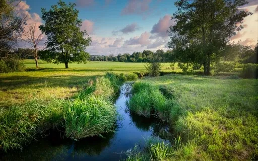 Gentle Brook In The Meadow Visualization