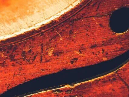 Gentle Cello And Crystal Singing Bowl Tones (Short)