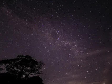 Gentle Class Followed By A Yoga Nidra Session. 