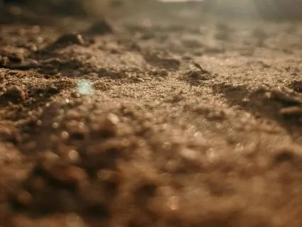 Gentle Clearing: An Affirmation Meditation For Letting Go