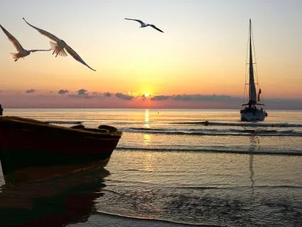 Gentle Cocoon for Sleep | Sleep Frequency Therapy | 8 Hours