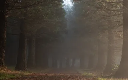 'Gentle Days' - A Meditation & Prayer For Hard Days