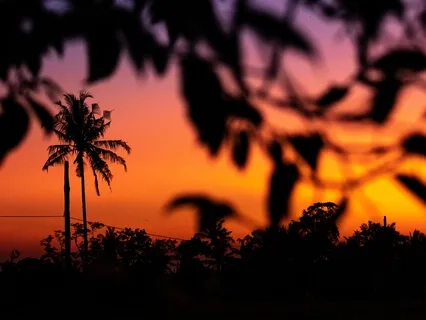 Gentle Dreams Of Love (Piano)