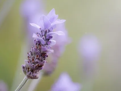 Gentle Drip… Putting Down What’s Heavy