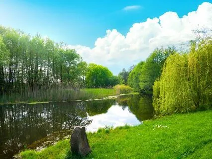 Gentle Ease: Release What Weighs You Down